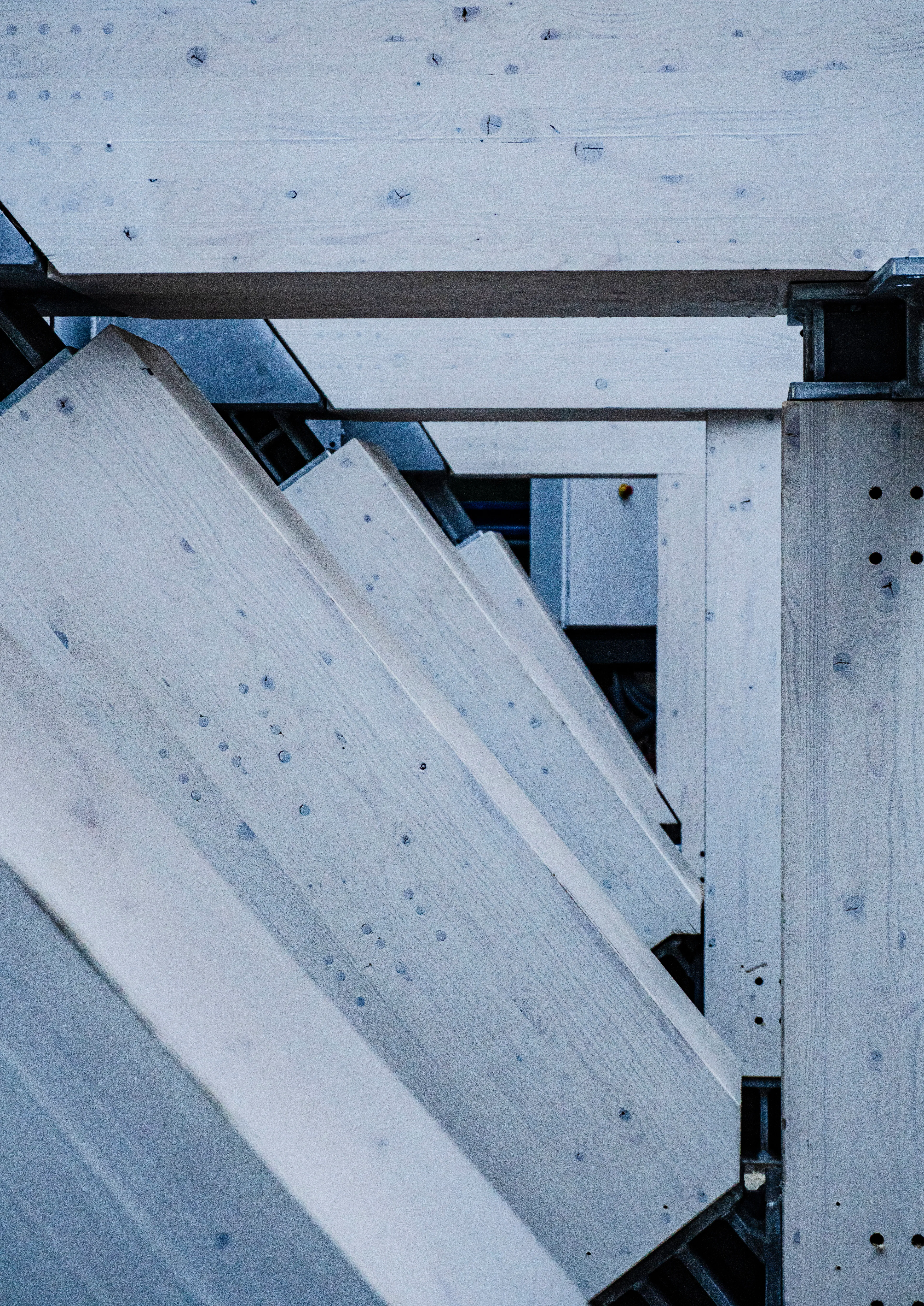 STRUCTURE BOIS - ANAPATH